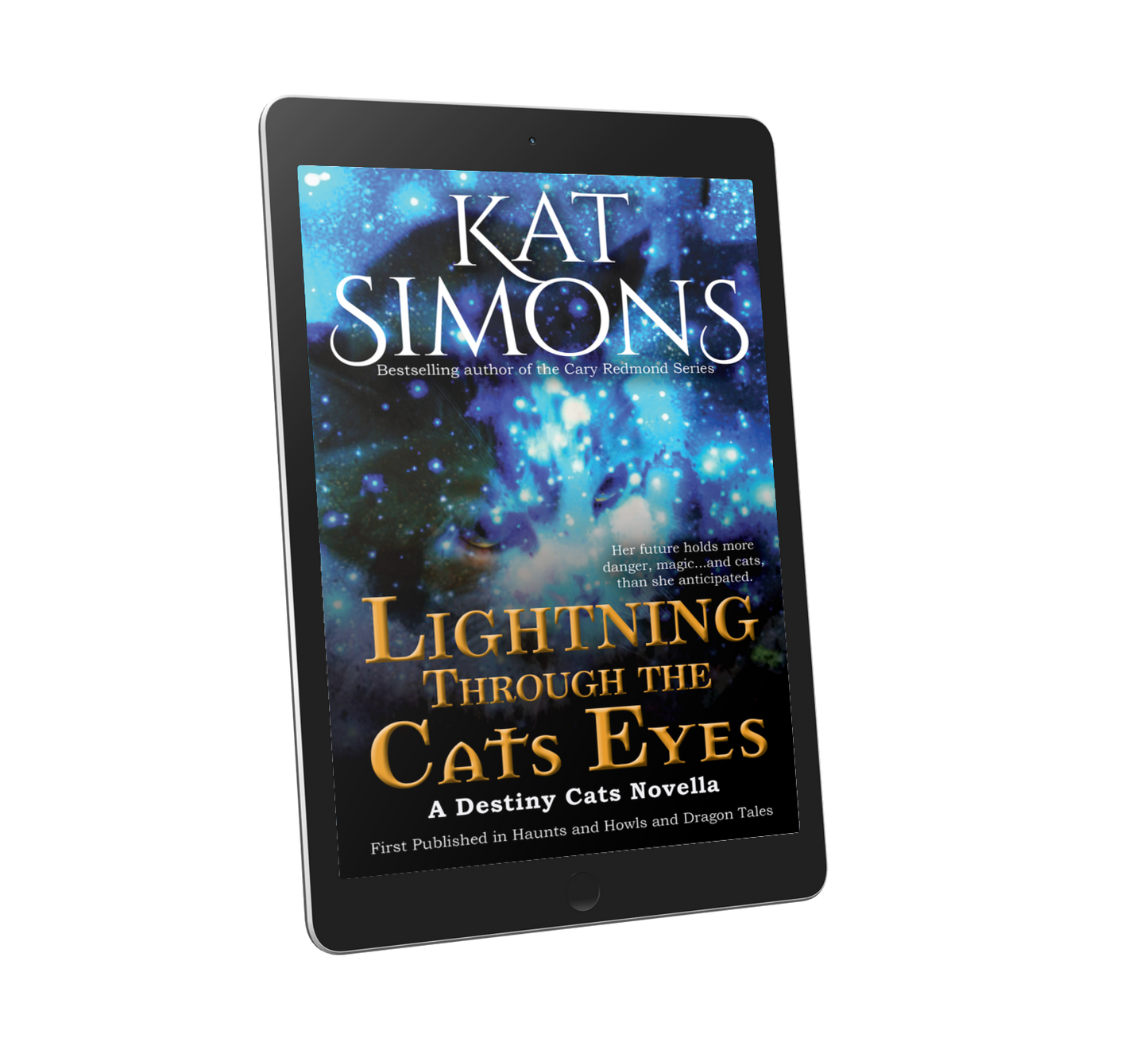 Lightning Through the Cats Eyes