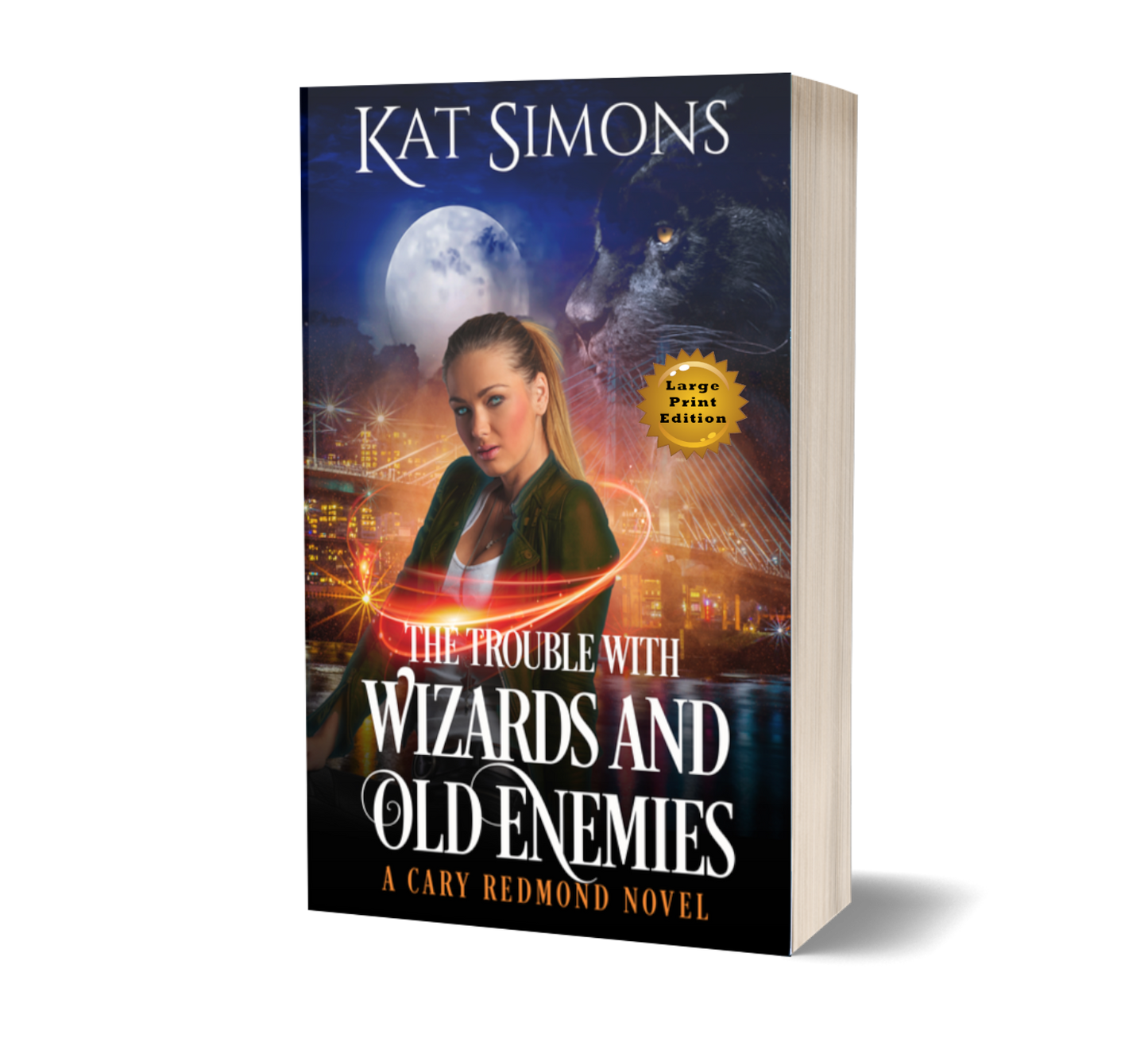 The Trouble with Wizards and Old Enemies PAPERBACK